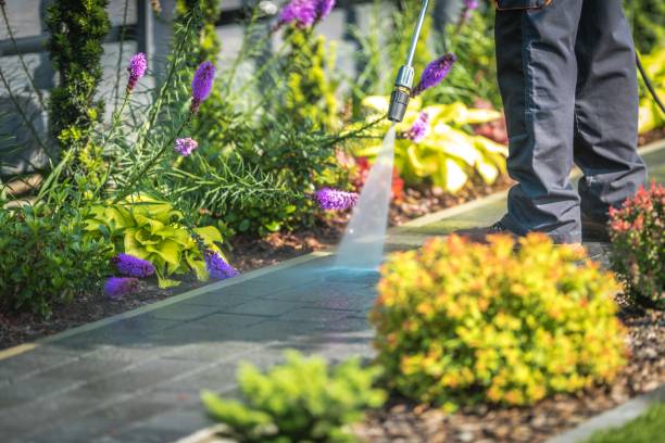 Best Boat and Dock Cleaning  in Hughestown, PA